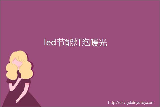 led节能灯泡暖光