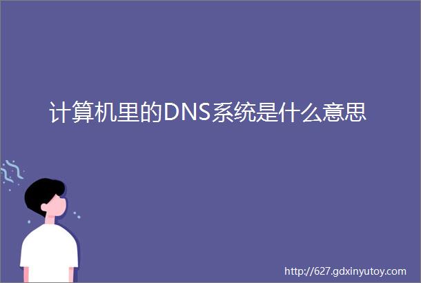 计算机里的DNS系统是什么意思