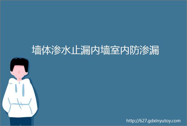 墙体渗水止漏内墙室内防渗漏